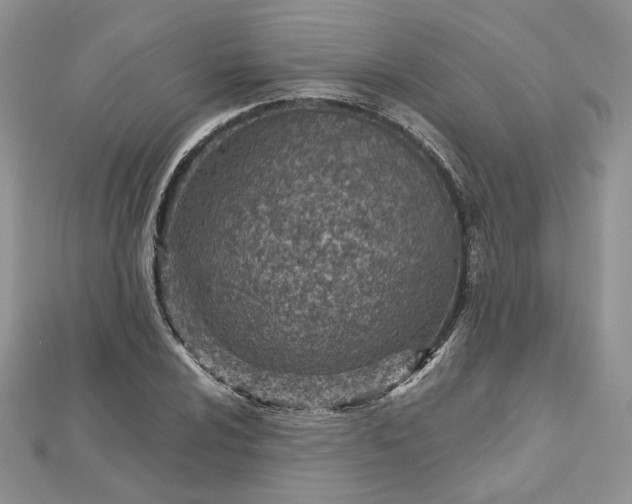 X0000112481024200908311406