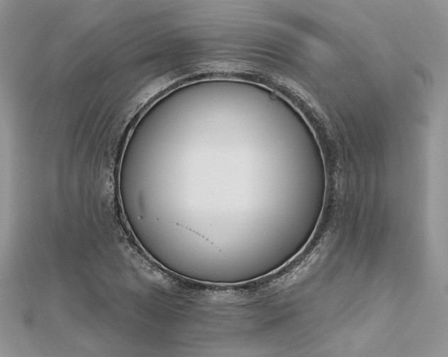 X0000112481025200908311406