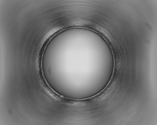 X0000112481026200908311406