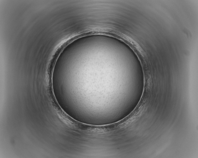 X0000112481027200908311406