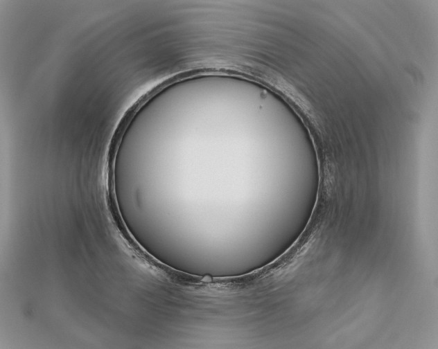 X0000112481028200908311406