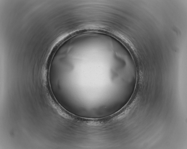 X0000112481029200908311406