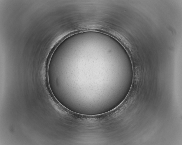 X0000112481031200908311406