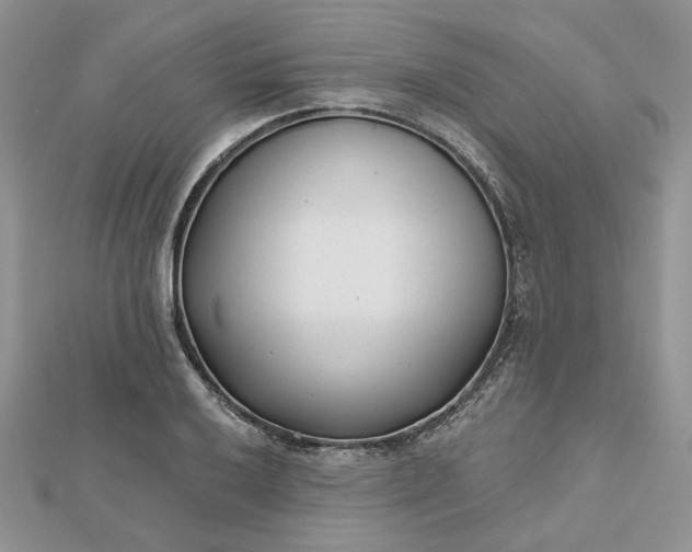 X0000112481032200908311406