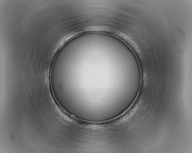 X0000112481033200908311406