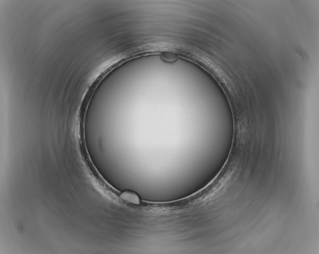 X0000112481034200908311406