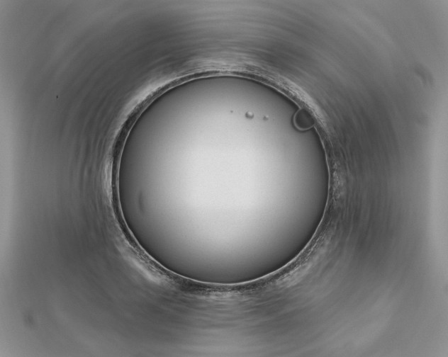 X0000112481035200908311406