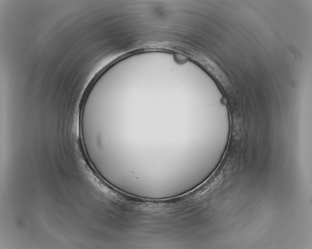 X0000112481036200908311406