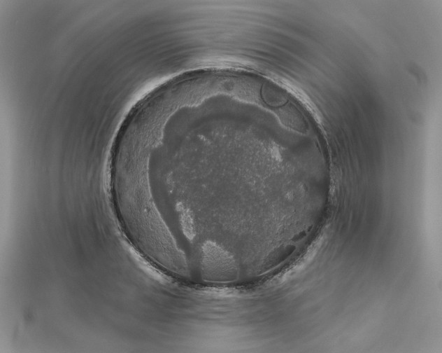 X0000112481037200908311406