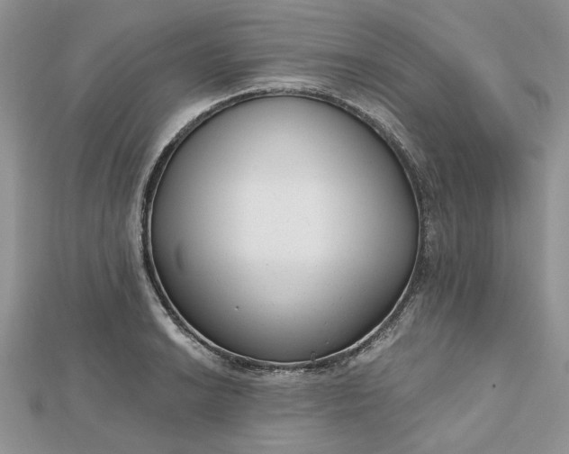 X0000112481038200908311406