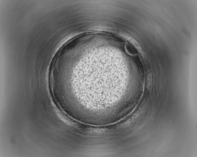 X0000112481039200908311406