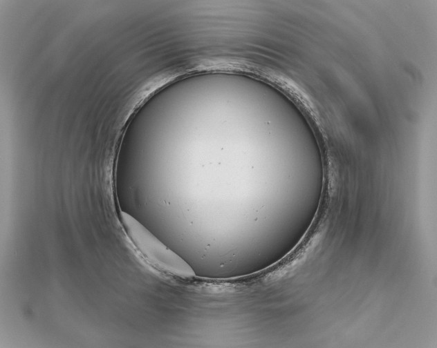 X0000112481041200908311407