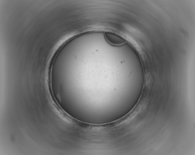 X0000112481043200908311407