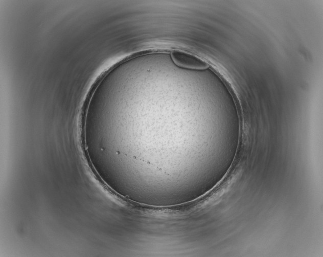 X0000112481045200908311407