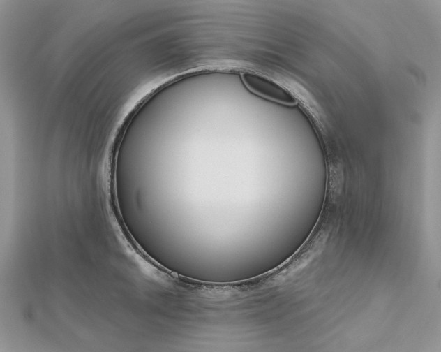 X0000112481046200908311407