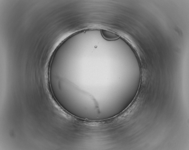 X0000112481048200908311407