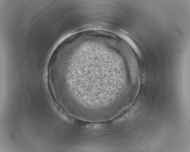 X0000112481051200908311407