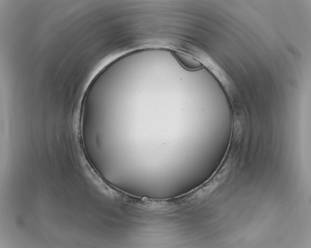 X0000112481052200908311407