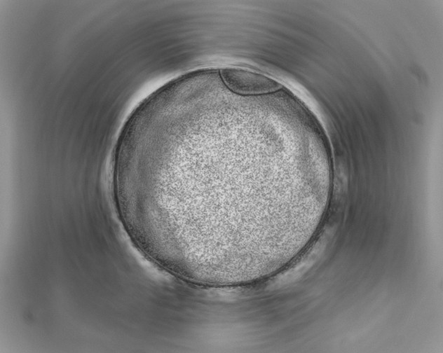 X0000112481053200908311407