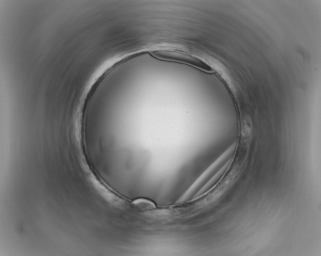 X0000112481054200908311407