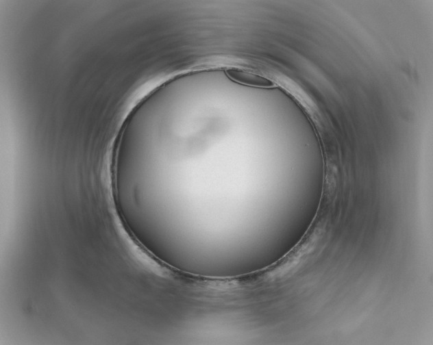 X0000112481055200908311407