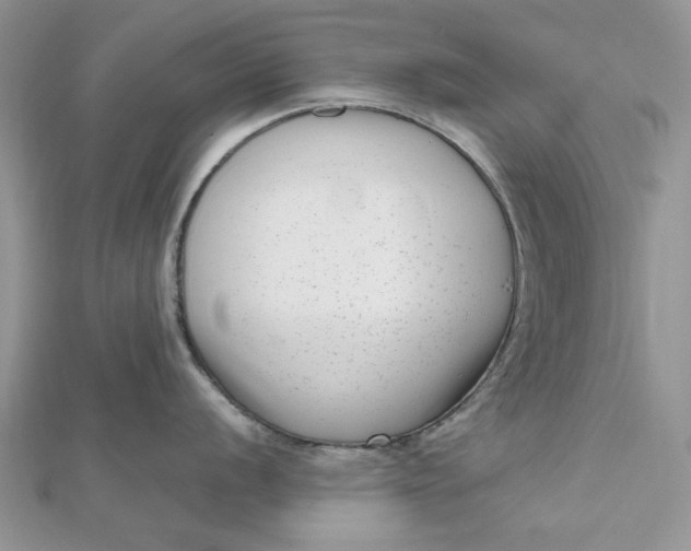 X0000112481056200908311407