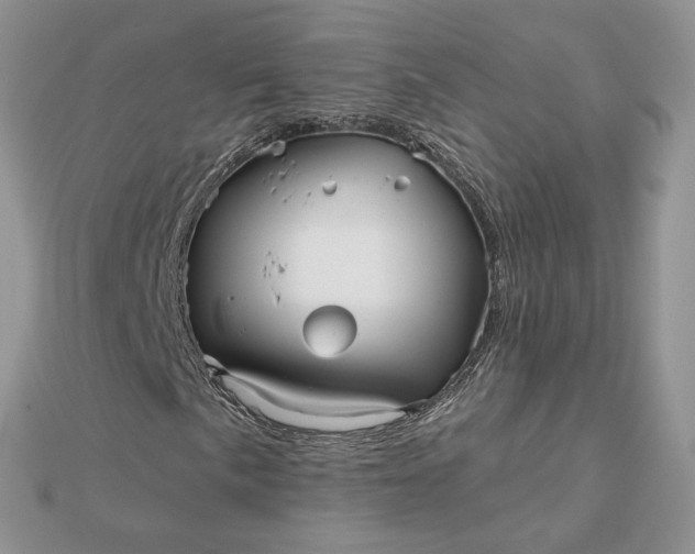 X0000112481057200908311406