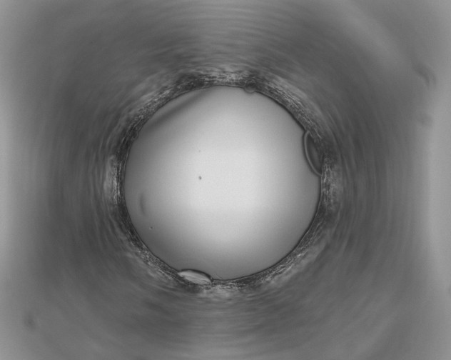 X0000112481058200908311406