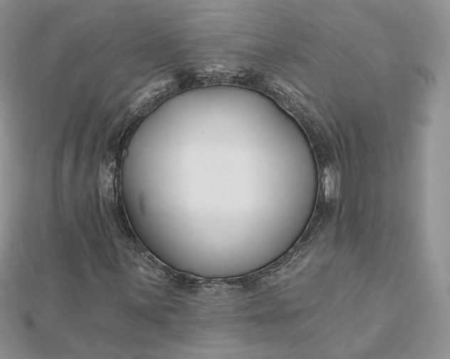 X0000112481059200908311406