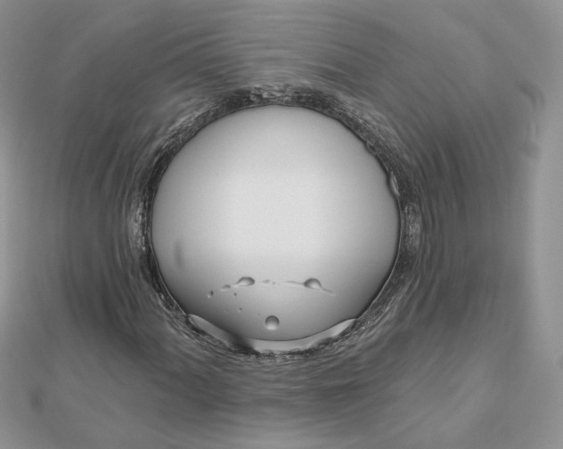 X0000112481060200908311406