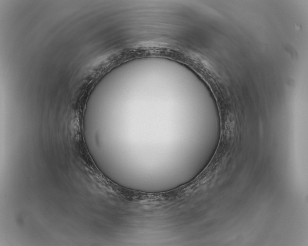 X0000112481062200908311406