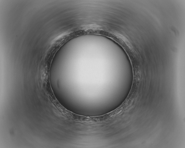 X0000112481063200908311406