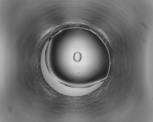 X0000112481064200908311406