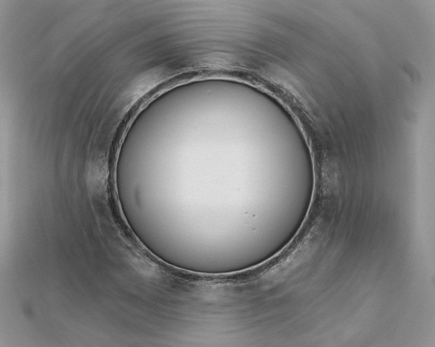 X0000112481065200908311406