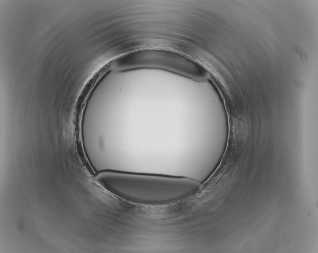 X0000112481068200908311406