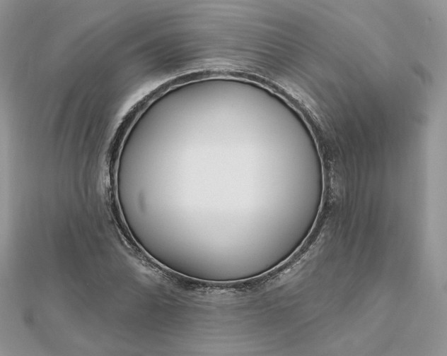 X0000112481070200908311406