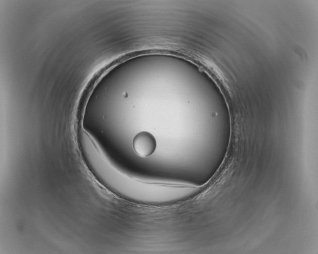 X0000112481072200908311406