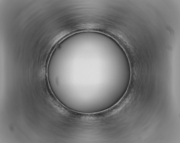 X0000112481073200908311406