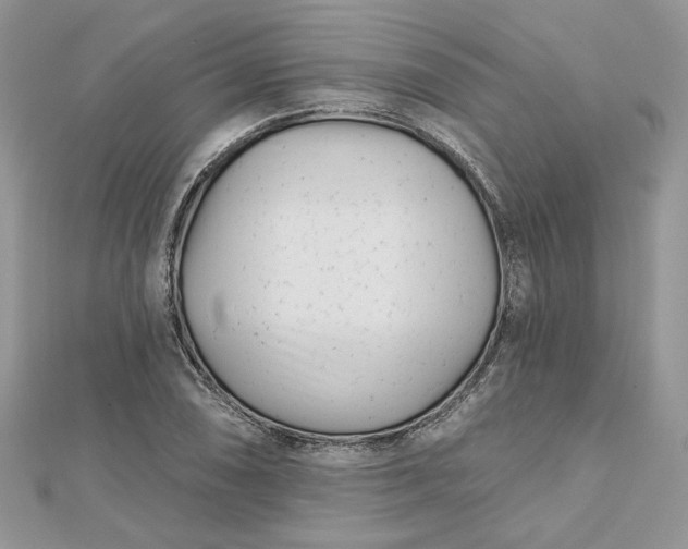 X0000112481074200908311406