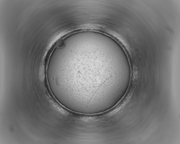 X0000112481075200908311406