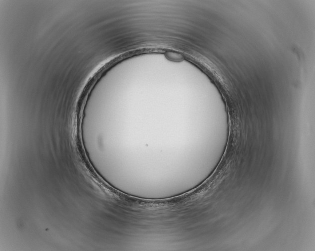 X0000112481076200908311406