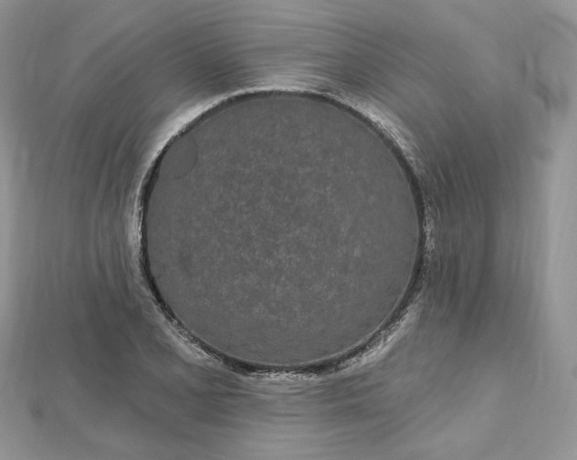 X0000112481077200908311406