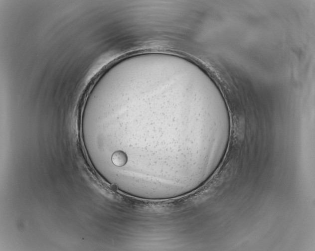 X0000112481078200908311406