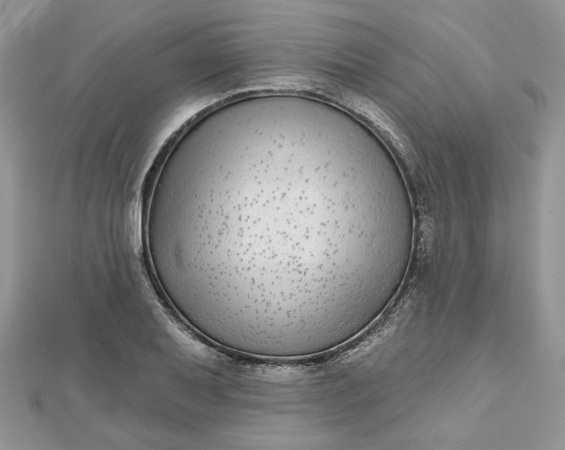 X0000112481079200908311406