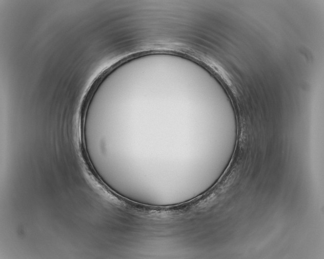 X0000112481080200908311406