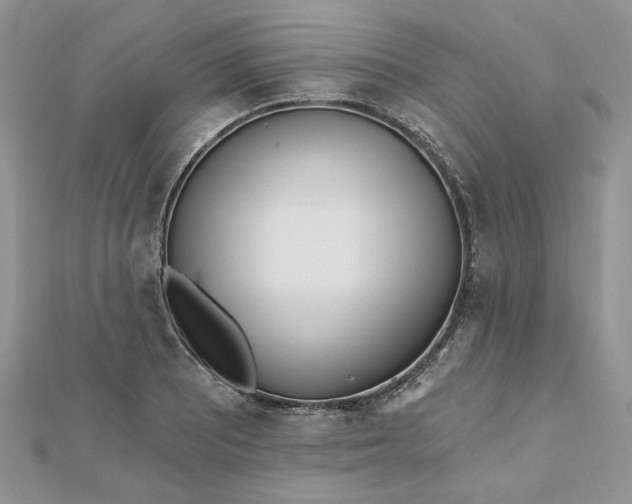 X0000112481081200908311406