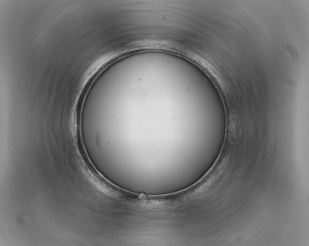 X0000112481082200908311406