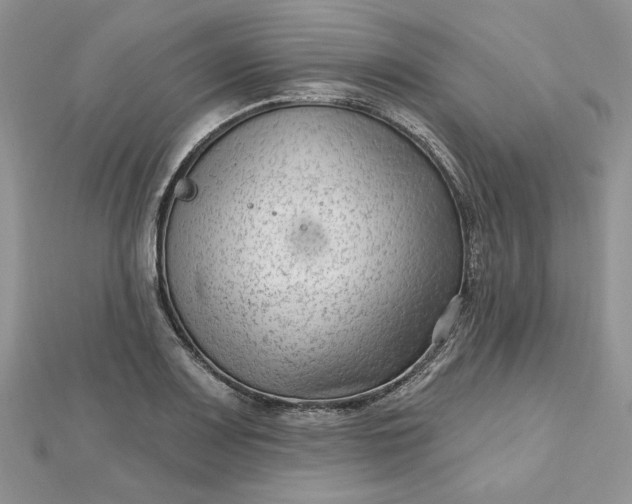 X0000112481083200908311406