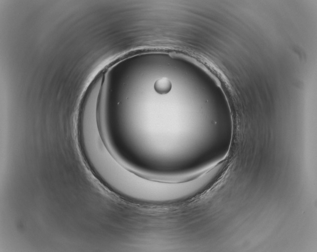 X0000112481085200908311406