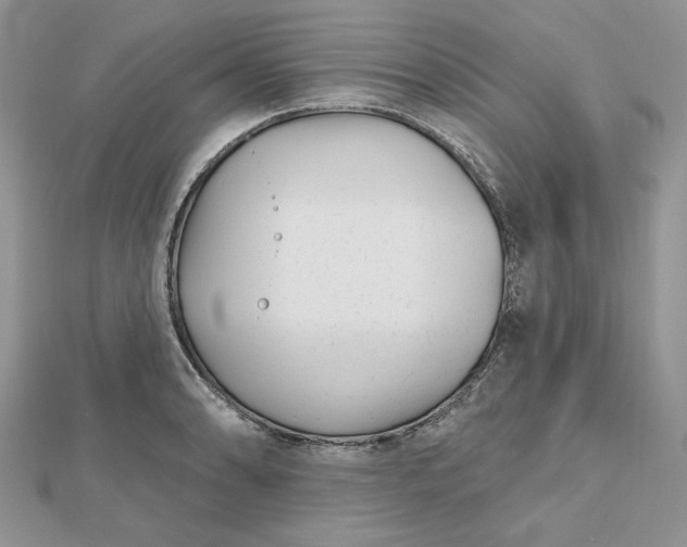 X0000112481086200908311406